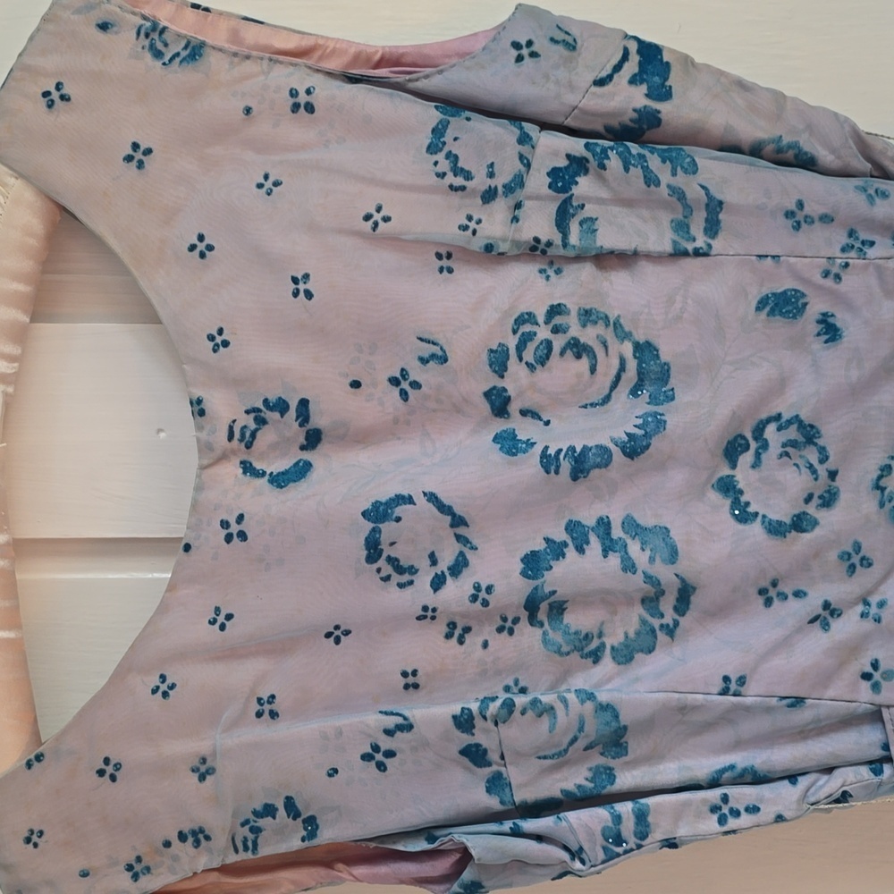 Authentic 1950s Chiffon Floral Overlay Lined A Line Party Dress - Picture 5 of 16